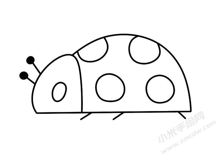 七星瓢蟲簡(jiǎn)筆畫黑白線稿07.jpg