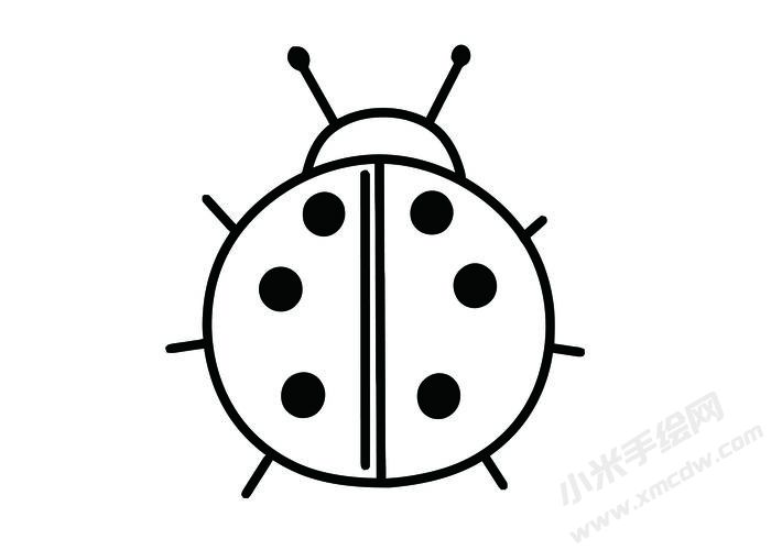 七星瓢蟲簡(jiǎn)筆畫黑白線稿05.jpg