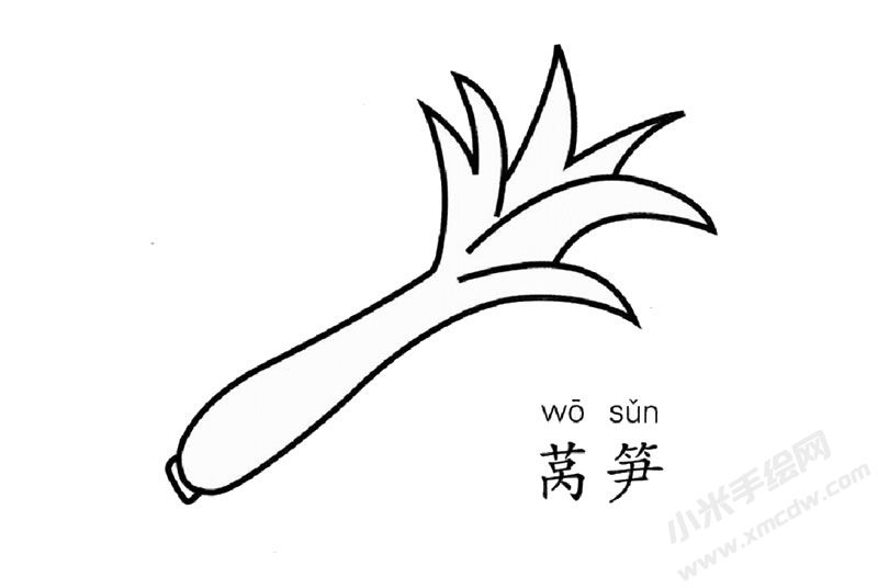 萵筍兒童簡筆畫圖片