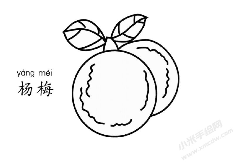 楊梅兒童簡筆畫圖片