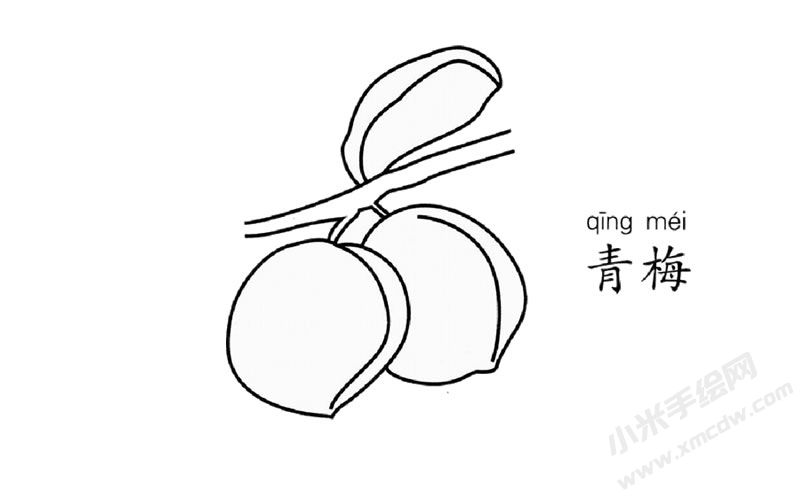 青梅簡筆畫圖片