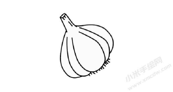 大蒜簡(jiǎn)筆畫創(chuàng)作步驟03.jpg