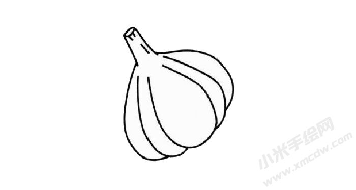大蒜簡(jiǎn)筆畫創(chuàng)作步驟02.jpg
