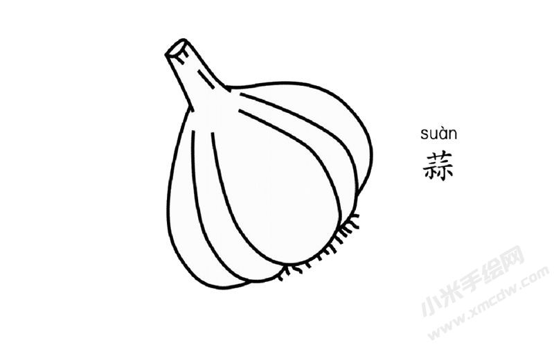 大蒜簡(jiǎn)筆畫圖片