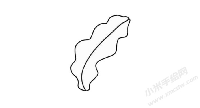 海帶簡筆畫創(chuàng)作步驟01.jpg
