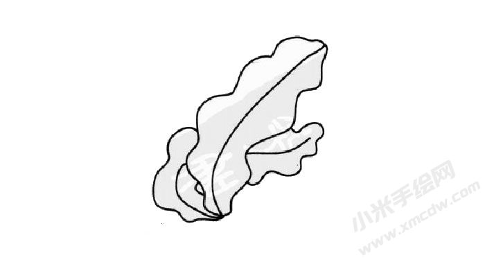 海帶簡筆畫創(chuàng)作步驟03.jpg