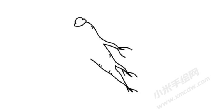 人參簡(jiǎn)筆畫創(chuàng)作步驟02.jpg