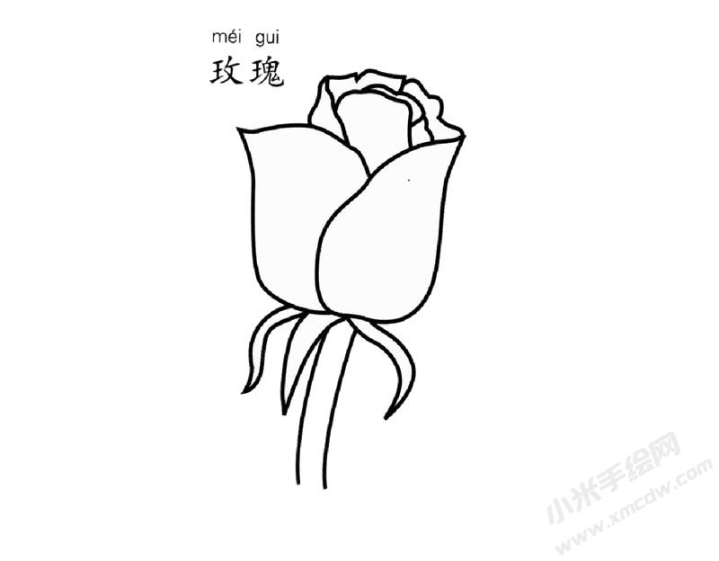 玫瑰花簡筆畫圖片