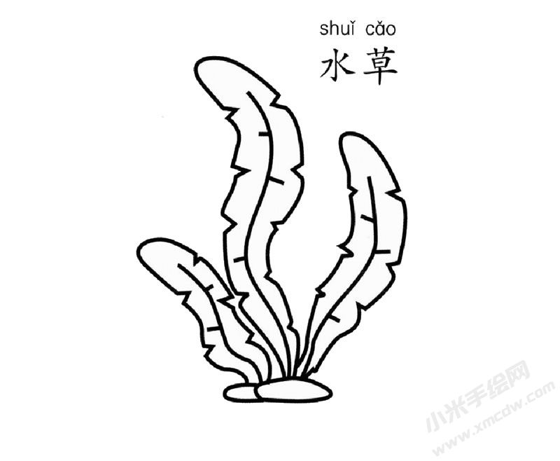 水草兒童簡(jiǎn)筆畫(huà)圖片