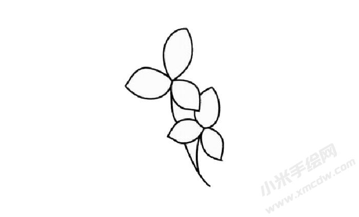 三葉草簡(jiǎn)筆畫創(chuàng)作步驟03.jpg