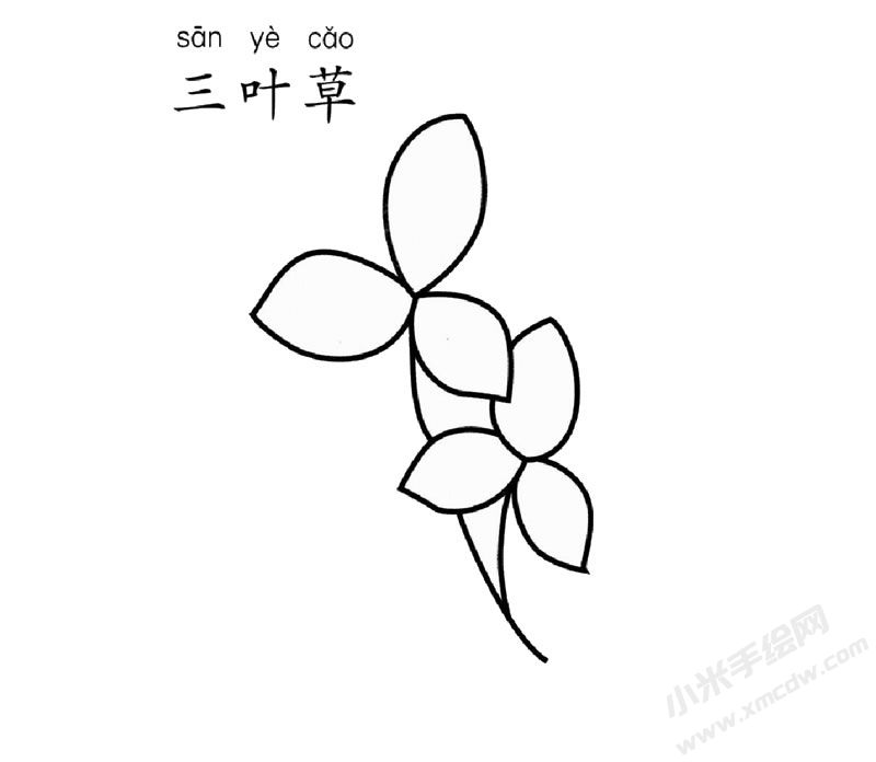 三葉草簡(jiǎn)筆畫圖片
