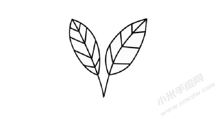 冬青簡(jiǎn)筆畫(huà)創(chuàng)作步驟02.jpg