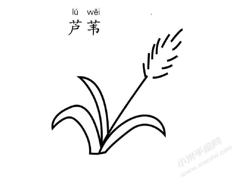蘆葦兒童簡筆畫圖片
