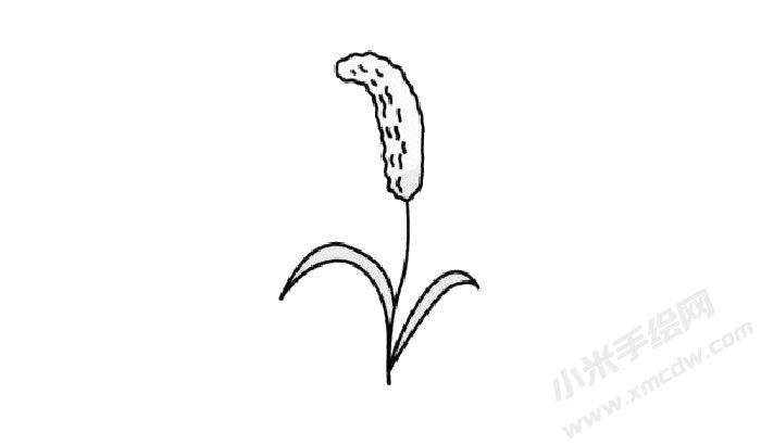 谷子簡(jiǎn)筆畫創(chuàng)作步驟03.jpg