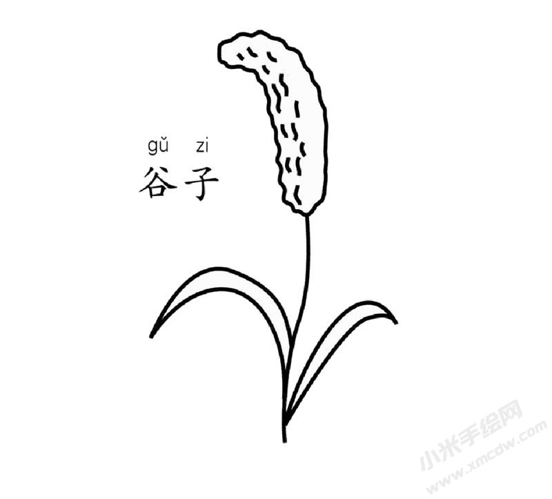 谷子簡(jiǎn)筆畫圖片