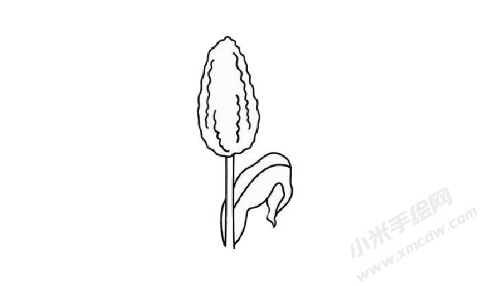 高粱簡(jiǎn)筆畫(huà)創(chuàng)作步驟03.jpg