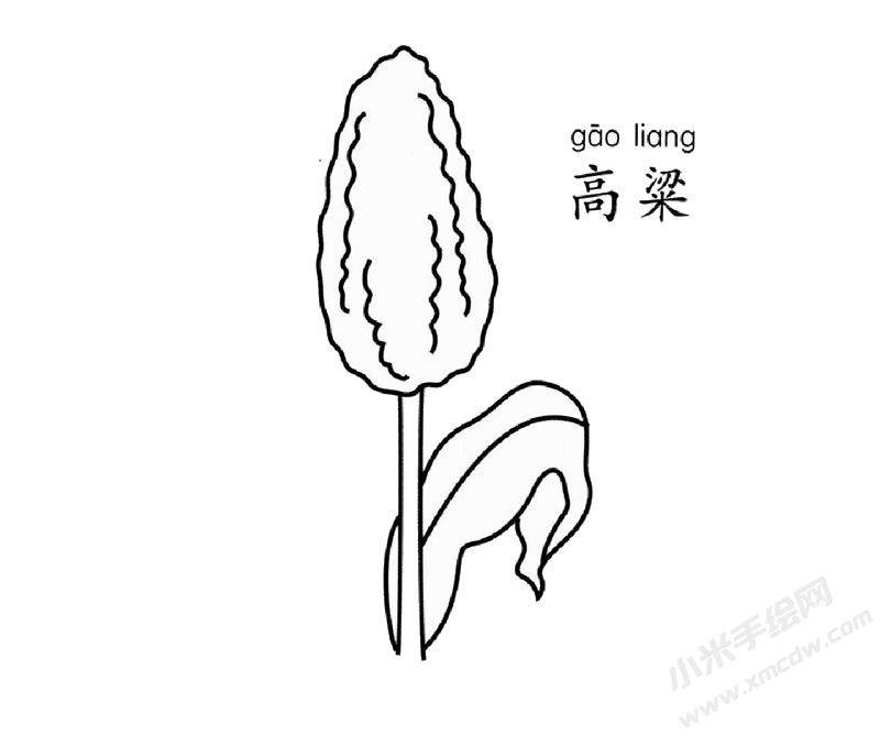 高粱簡(jiǎn)筆畫(huà)圖片