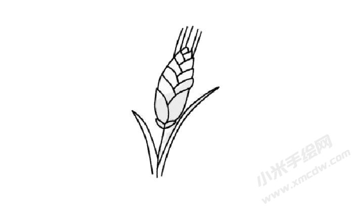 小麥簡(jiǎn)筆畫創(chuàng)作步驟03.jpg