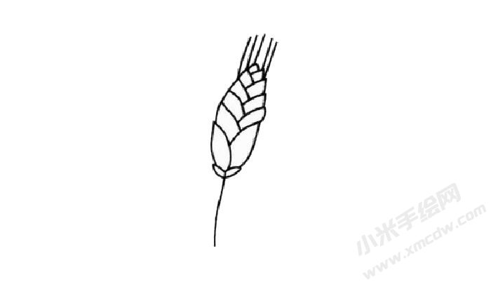 小麥簡(jiǎn)筆畫創(chuàng)作步驟02.jpg