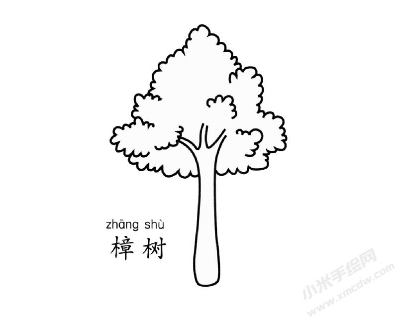 樟樹簡筆畫預判