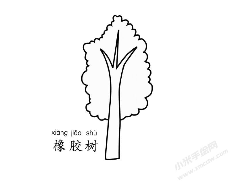 橡膠樹簡筆畫圖片