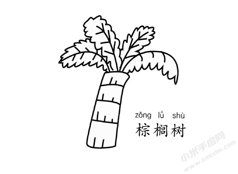 棕櫚樹簡(jiǎn)筆畫圖片