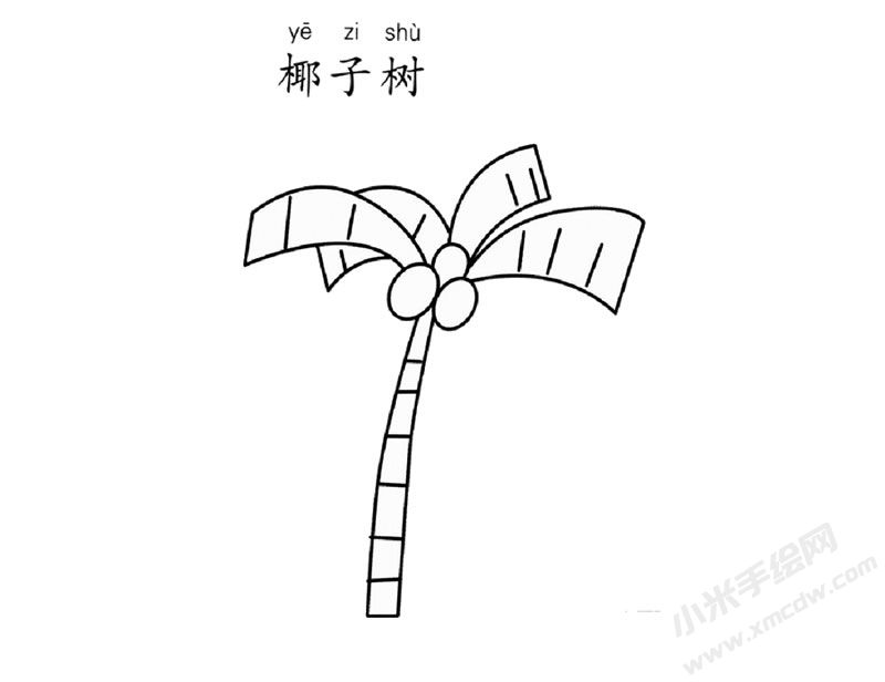 椰子兒童簡(jiǎn)筆畫(huà)圖片