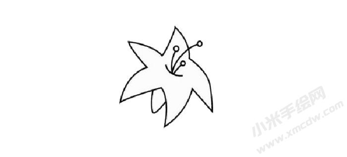 百合花簡筆畫步驟02.jpg