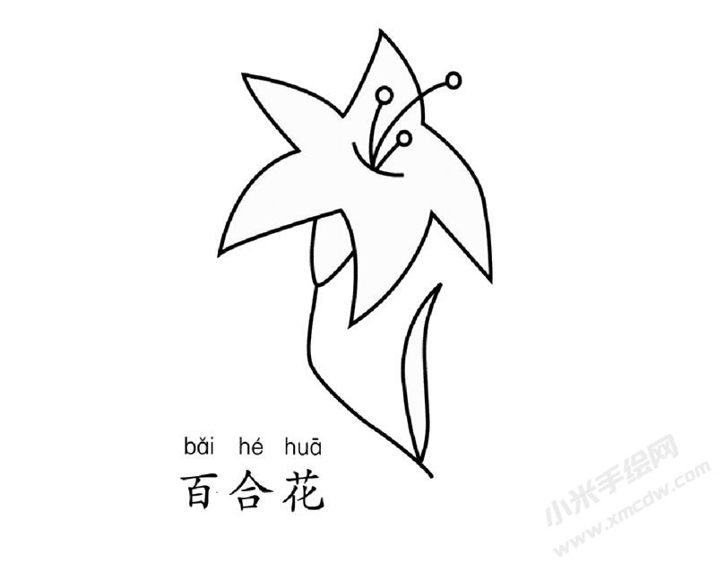 百合花簡筆畫圖片