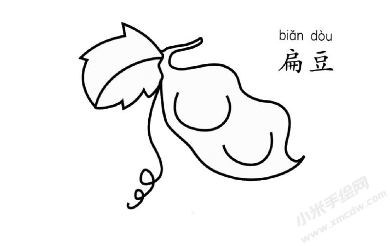 扁豆簡(jiǎn)筆畫(huà)圖片