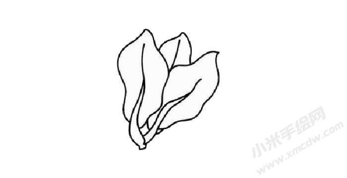 菠菜簡(jiǎn)筆畫(huà)創(chuàng)作步驟02.jpg