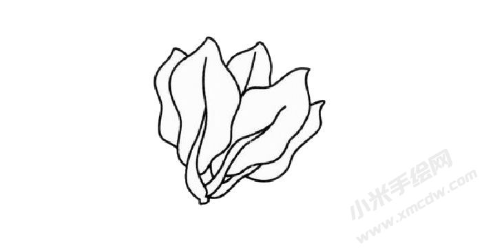菠菜簡(jiǎn)筆畫(huà)創(chuàng)作步驟03.jpg