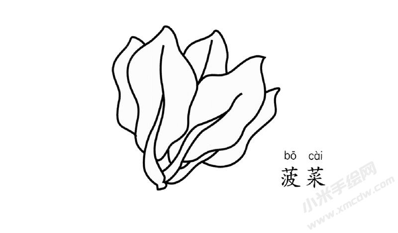 菠菜簡(jiǎn)筆畫(huà)圖片