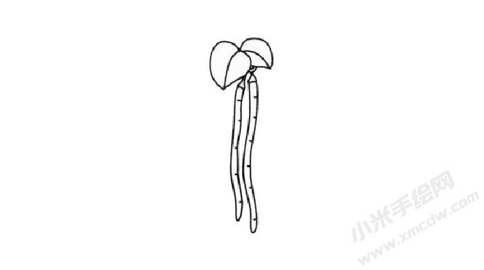 長(zhǎng)豆角簡(jiǎn)筆畫(huà)步驟03.jpg