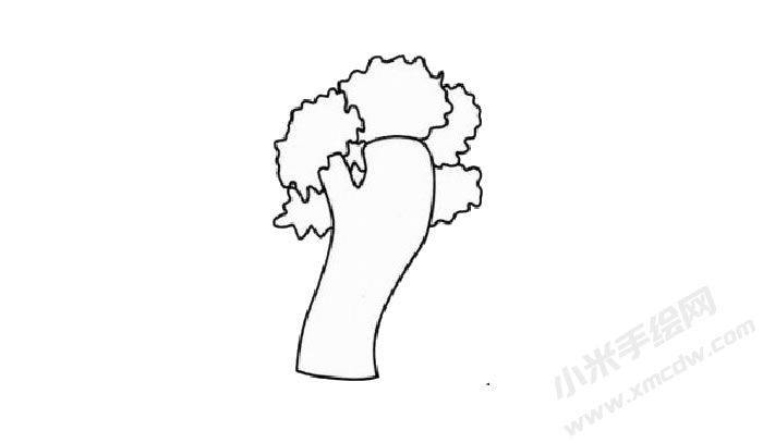 梧桐樹簡(jiǎn)筆畫創(chuàng)作步驟02.jpg