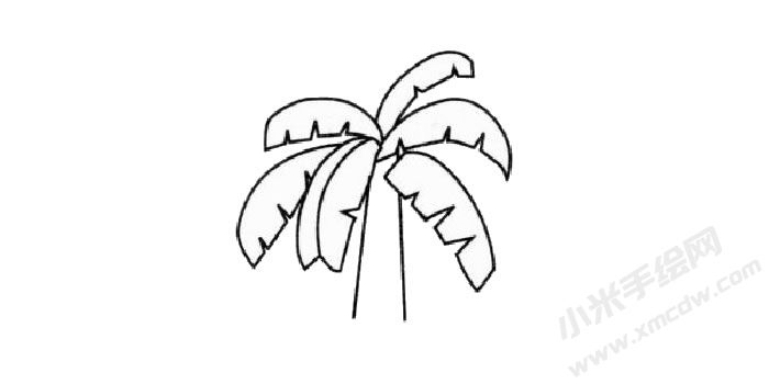 芭蕉樹兒童簡筆畫步驟03.jpg