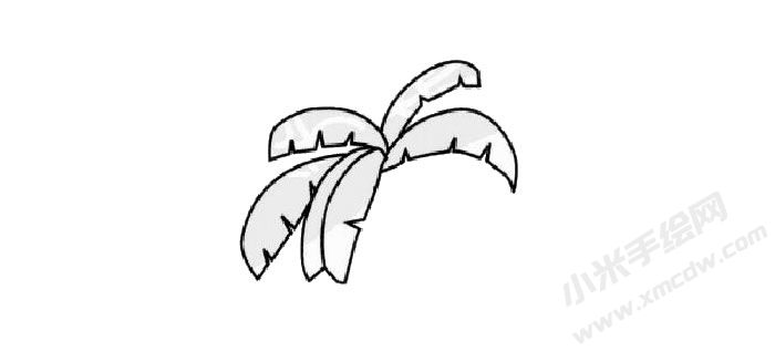 芭蕉樹兒童簡筆畫步驟01.jpg