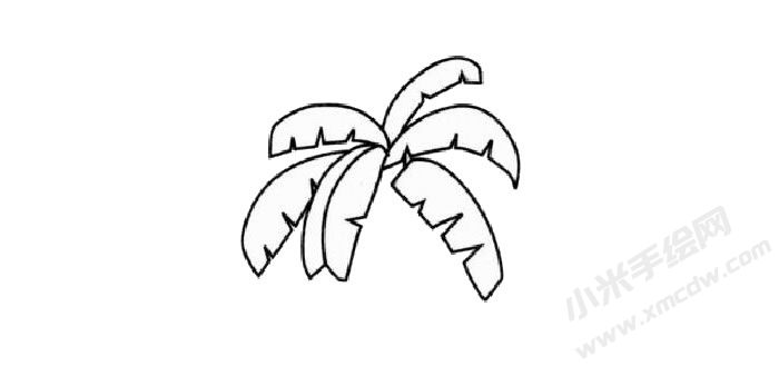 芭蕉樹兒童簡筆畫步驟02.jpg