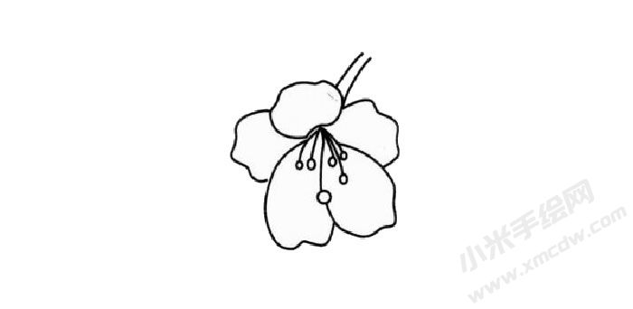 櫻花簡(jiǎn)筆畫創(chuàng)作步驟02.jpg