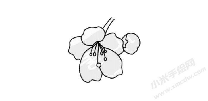 櫻花簡(jiǎn)筆畫創(chuàng)作步驟03.jpg