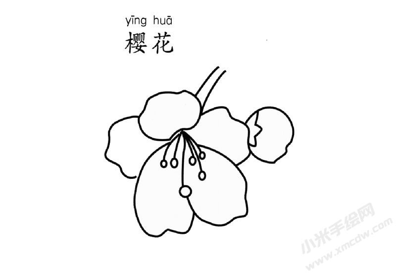 櫻花簡(jiǎn)筆畫圖片