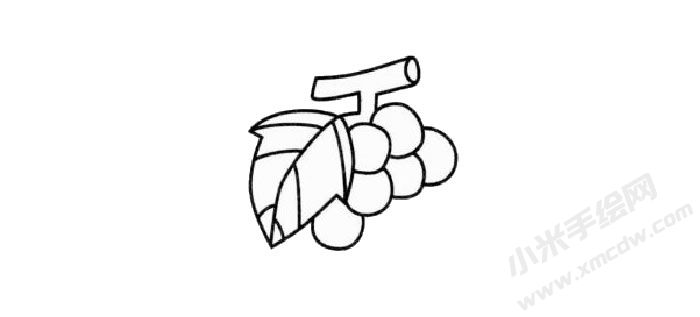 葡萄兒童簡(jiǎn)筆畫步驟02.jpg