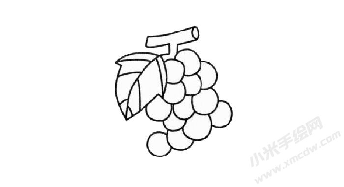 葡萄兒童簡(jiǎn)筆畫步驟03.jpg