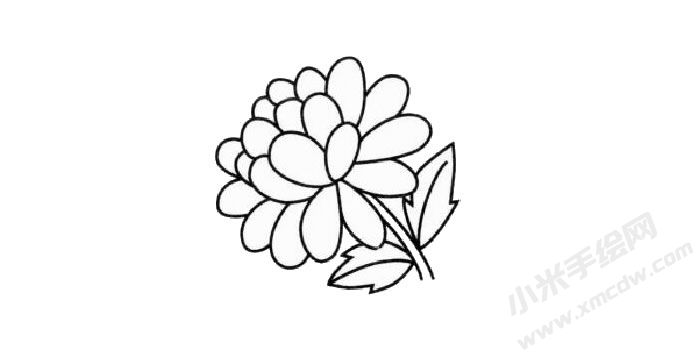 金盞菊簡筆畫創(chuàng)作步驟03.jpg
