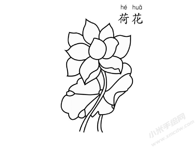 荷花兒童簡筆畫圖片