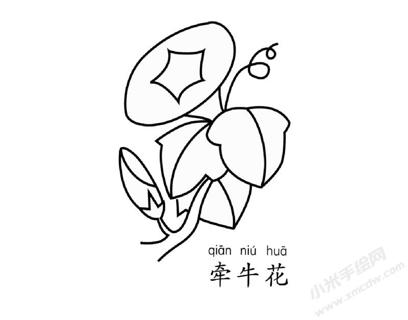 牽牛花簡(jiǎn)筆畫圖片