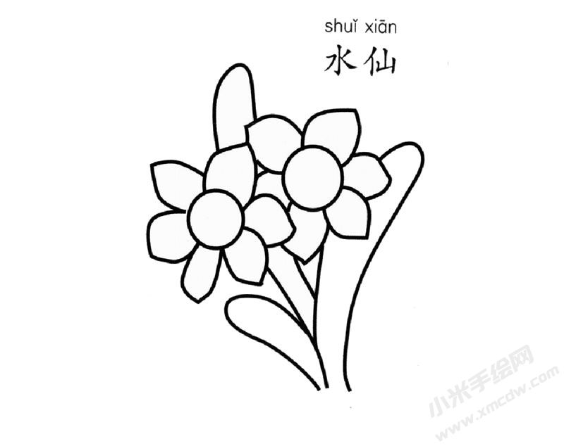 水仙花兒童簡筆畫圖片