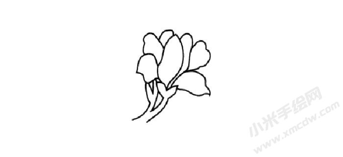 蘭花簡筆畫創(chuàng)作步驟02.jpg