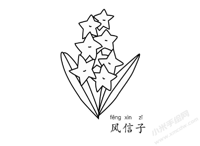 風(fēng)信子簡筆畫圖片