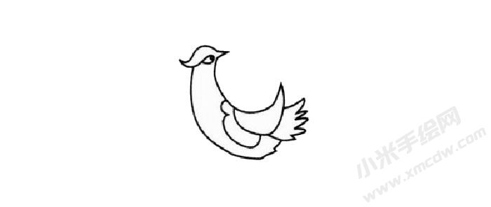 野雞簡筆畫創(chuàng)作步驟02.jpg